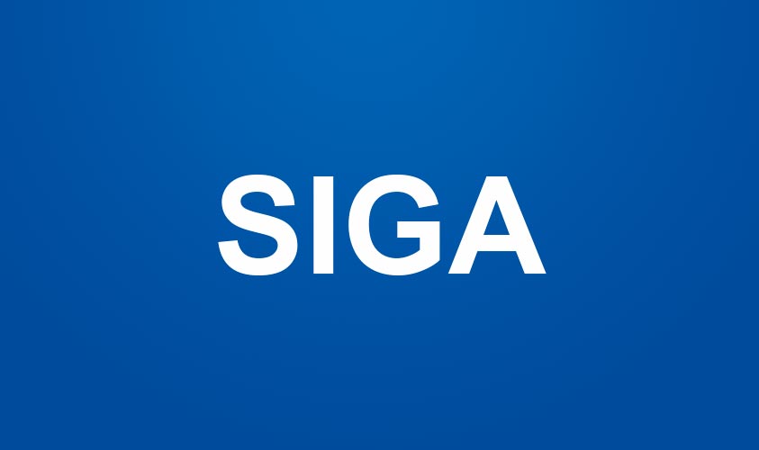 Curso SIGA MEF